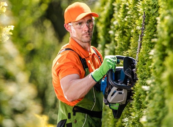 About Us - Ab pest control
